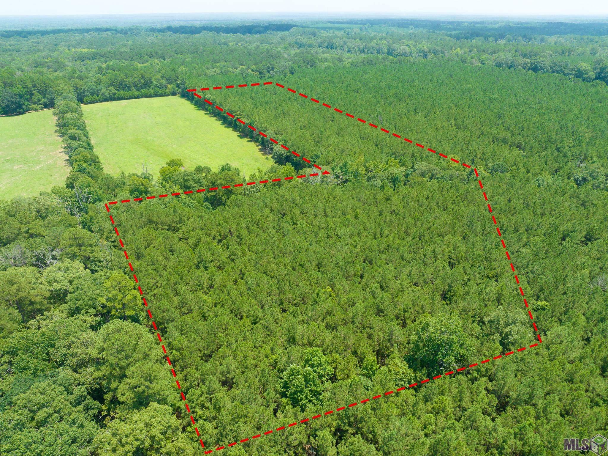 Tbd Tbd Peterson Road Clinton, LA 70722 - Photo 4 of 6