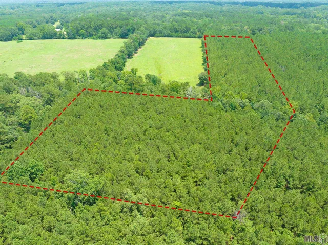 $85,900 | Tbd Tbd Peterson Road, Clinton, LA 70722