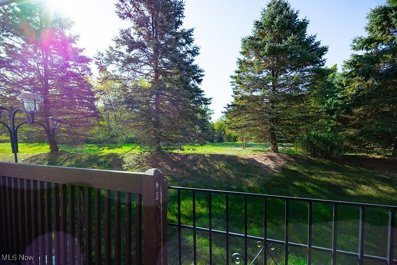 1035 Parsons Road Grafton, OH 44044 - Photo 21 of 25 View of yard