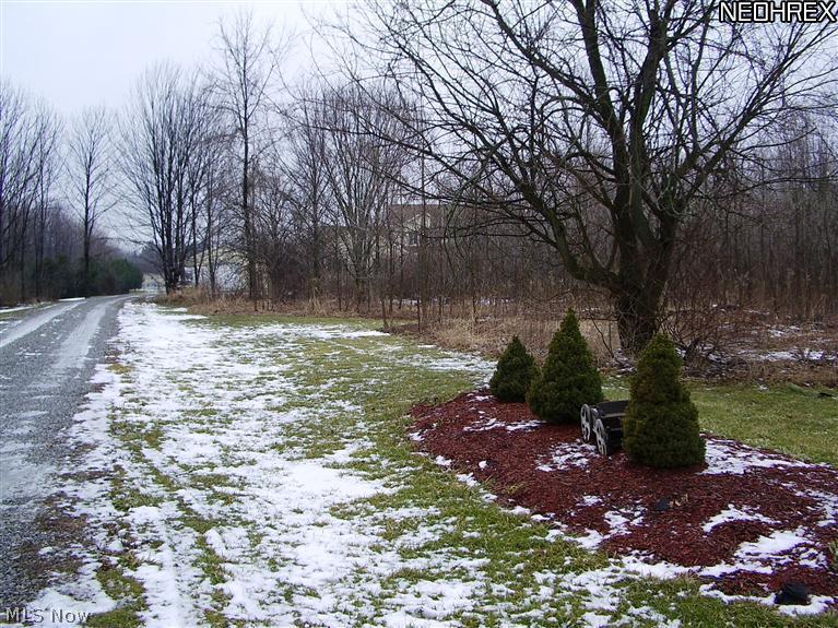 3520 Vandemark, Litchfield, OH  Driveway to home- set waaaaayyyy back from the road with wooded area between home & road ensuring privacy.