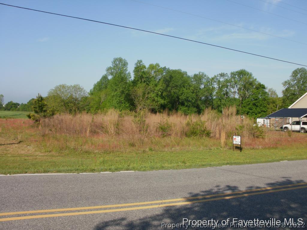 1955 Johnston County Road Angier, NC 27501 - Photo 4 of 6 a backyard of a house with lots of green space and trees in the back