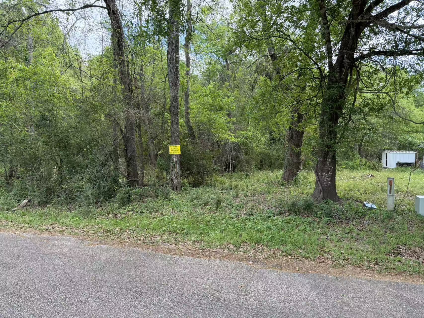 24802 Marks Road Splendora, TX 77372 - Photo 2 of 10