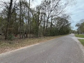 a view of a forest with trees in the background