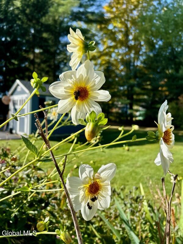 15 Dyer Switch Road Saratoga Springs, NY 12866 - Photo 70 of 70 A