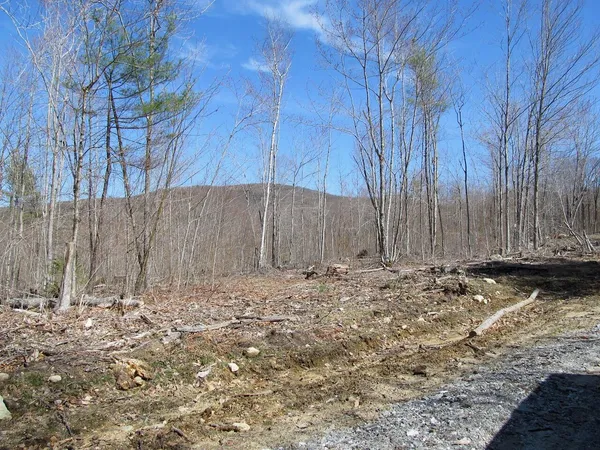 $65,000 | 25-9 Klondike Hill Lane, West Paris, ME 04289