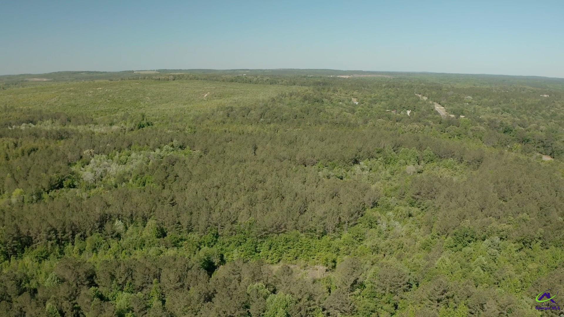 Carl Sutton Road Lizella, GA 31052 - Photo 11 of 23