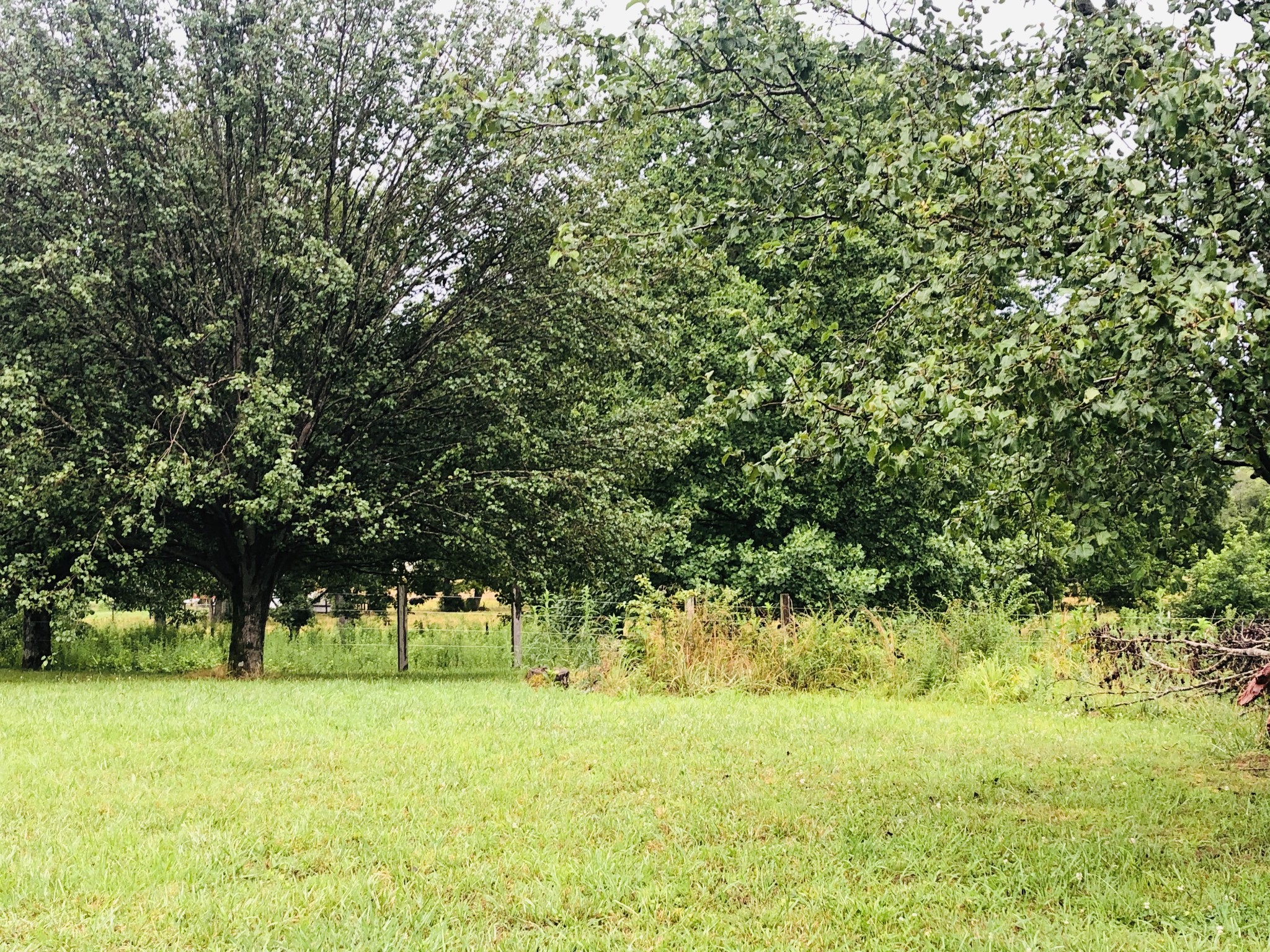 699 Howell Hill Road Flintville, TN 37335 - Photo 2 of 11