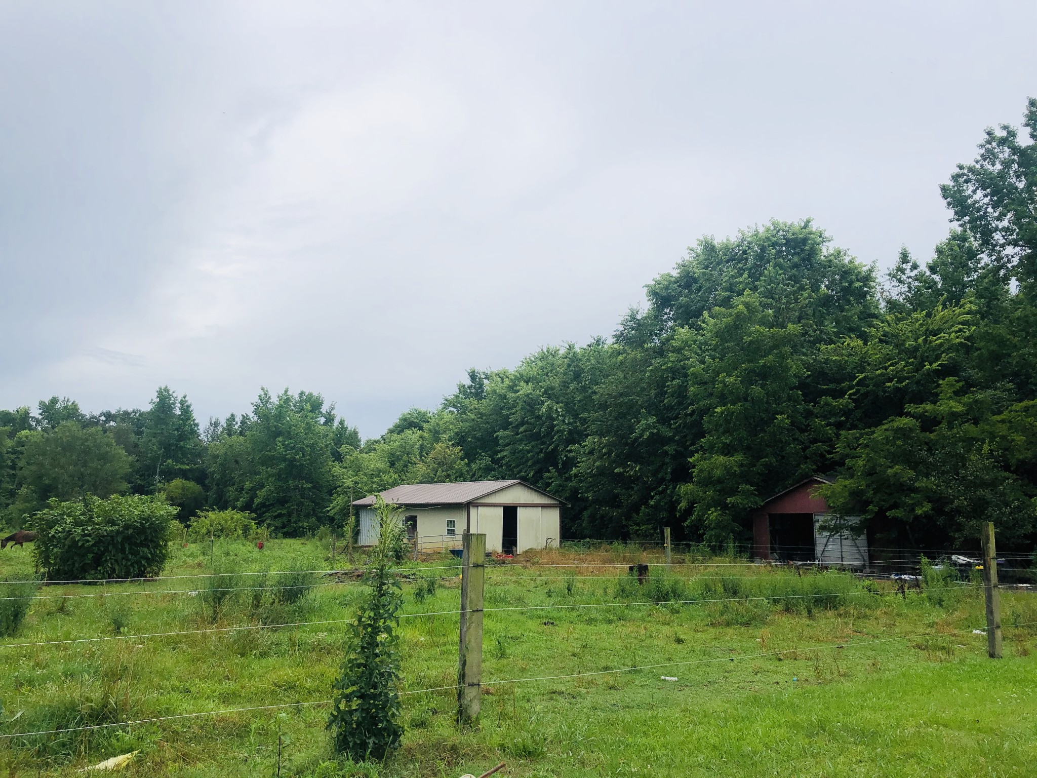 699 Howell Hill Road Flintville, TN 37335 - Photo 3 of 11