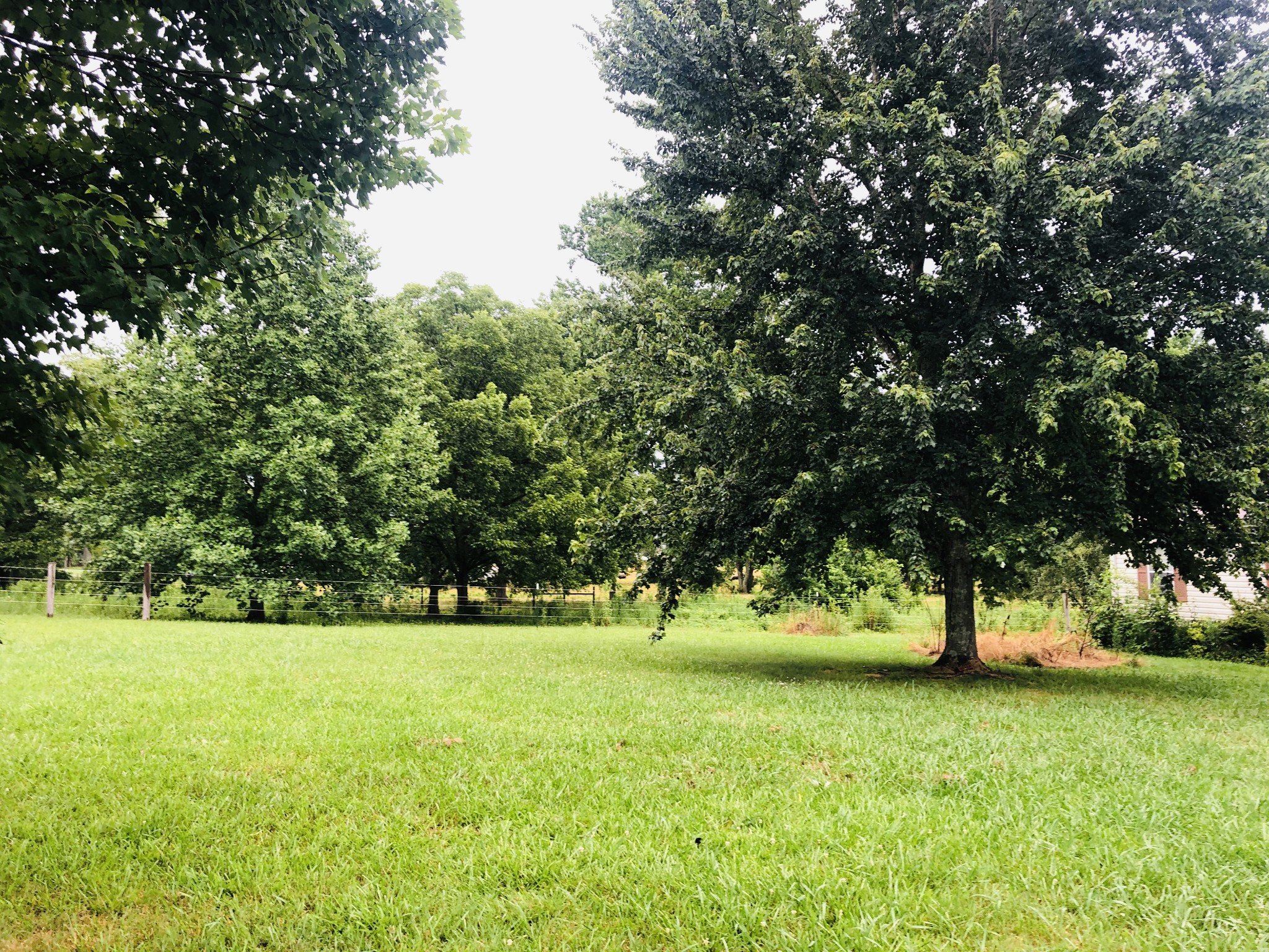 699 Howell Hill Road Flintville, TN 37335 - Photo 4 of 11