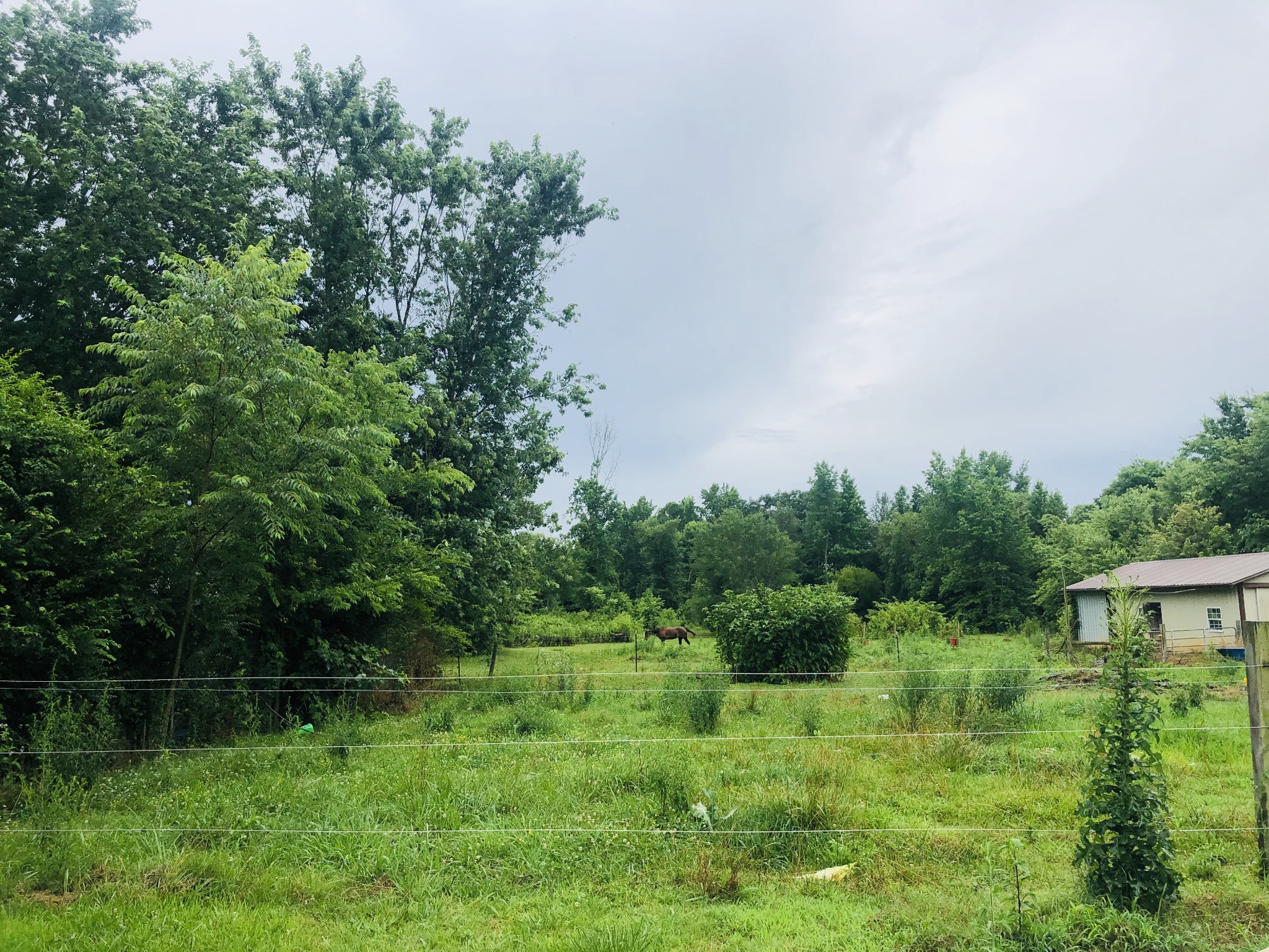 699 Howell Hill Road Flintville, TN 37335 - Photo 5 of 11