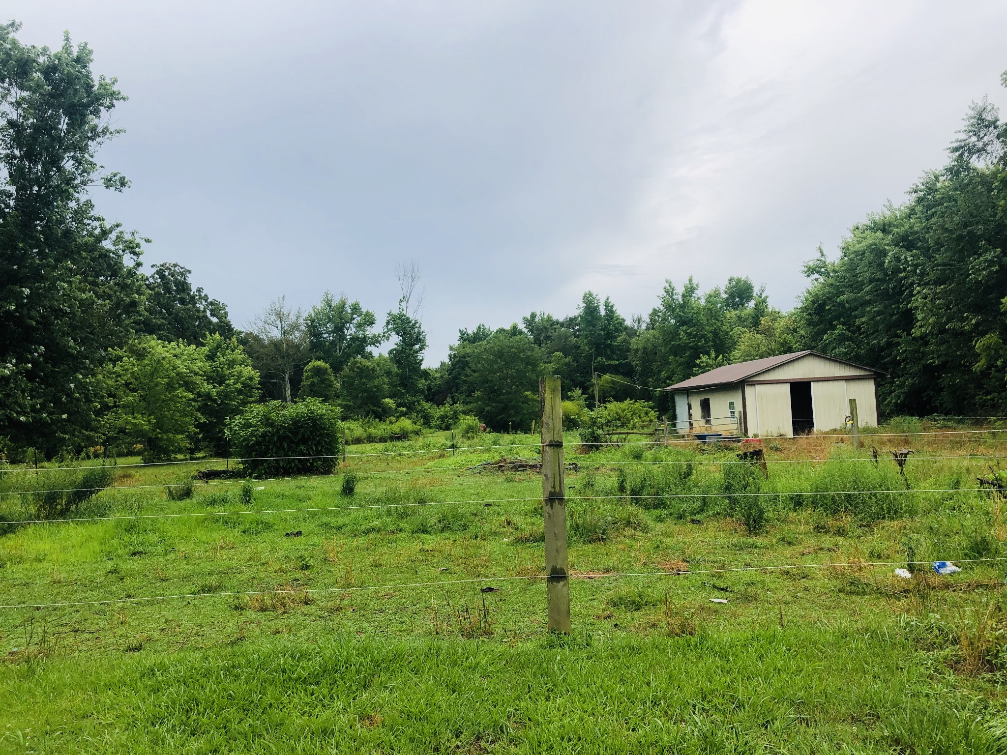 699 Howell Hill Road Flintville, TN 37335 - Photo 8 of 11