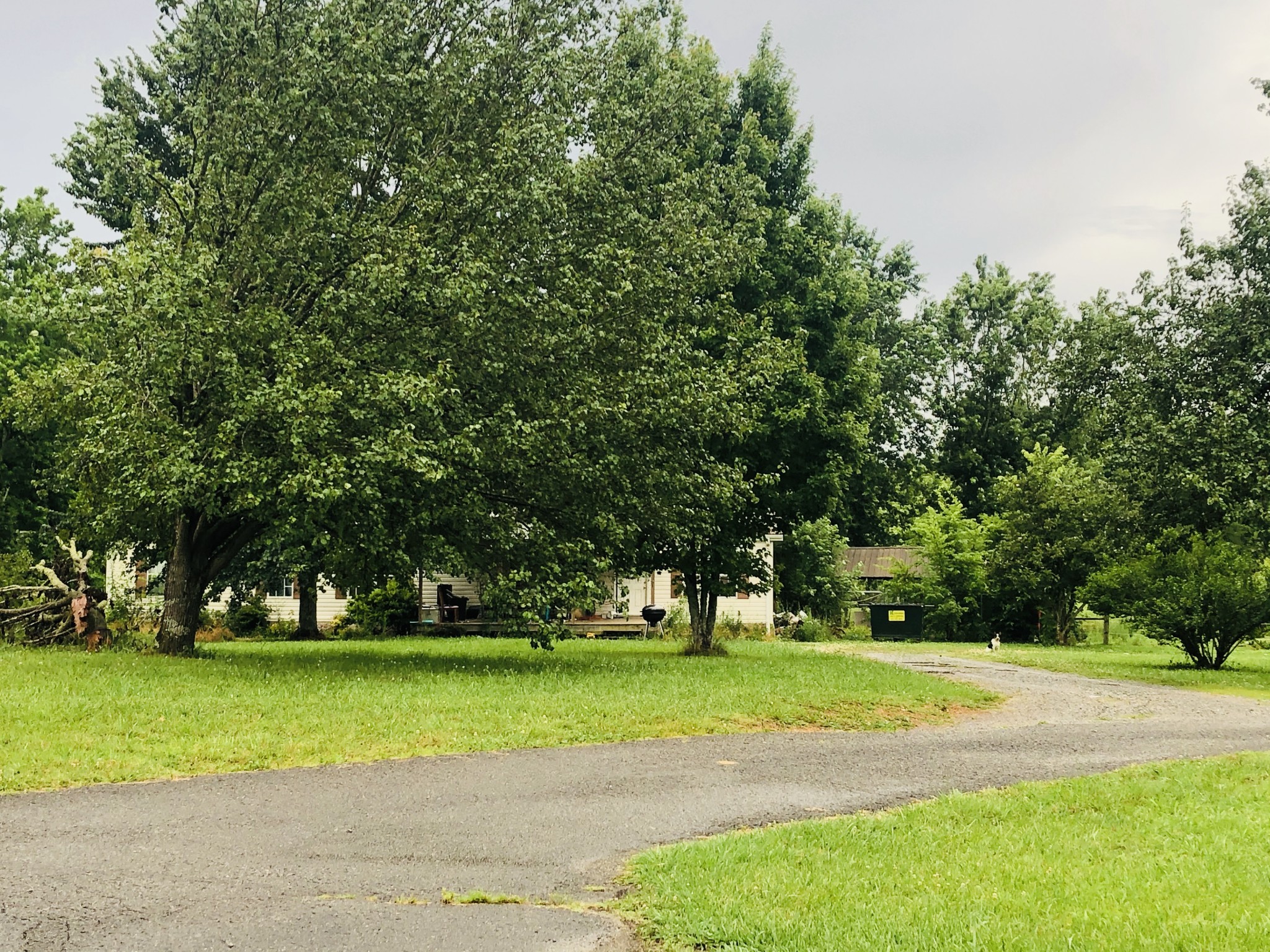 699 Howell Hill Road Flintville, TN 37335 - Photo 9 of 11