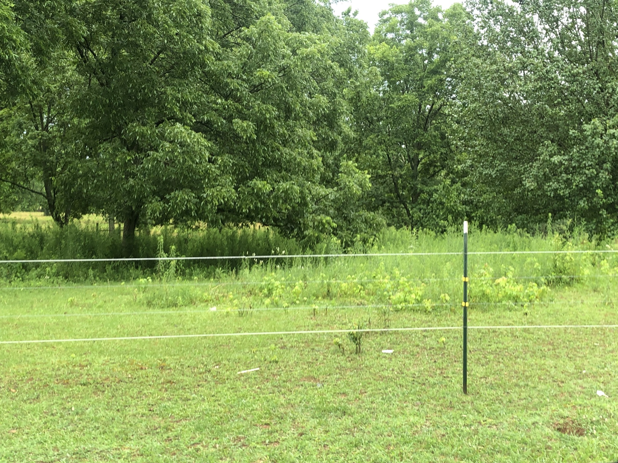 699 Howell Hill Road Flintville, TN 37335 - Photo 10 of 11