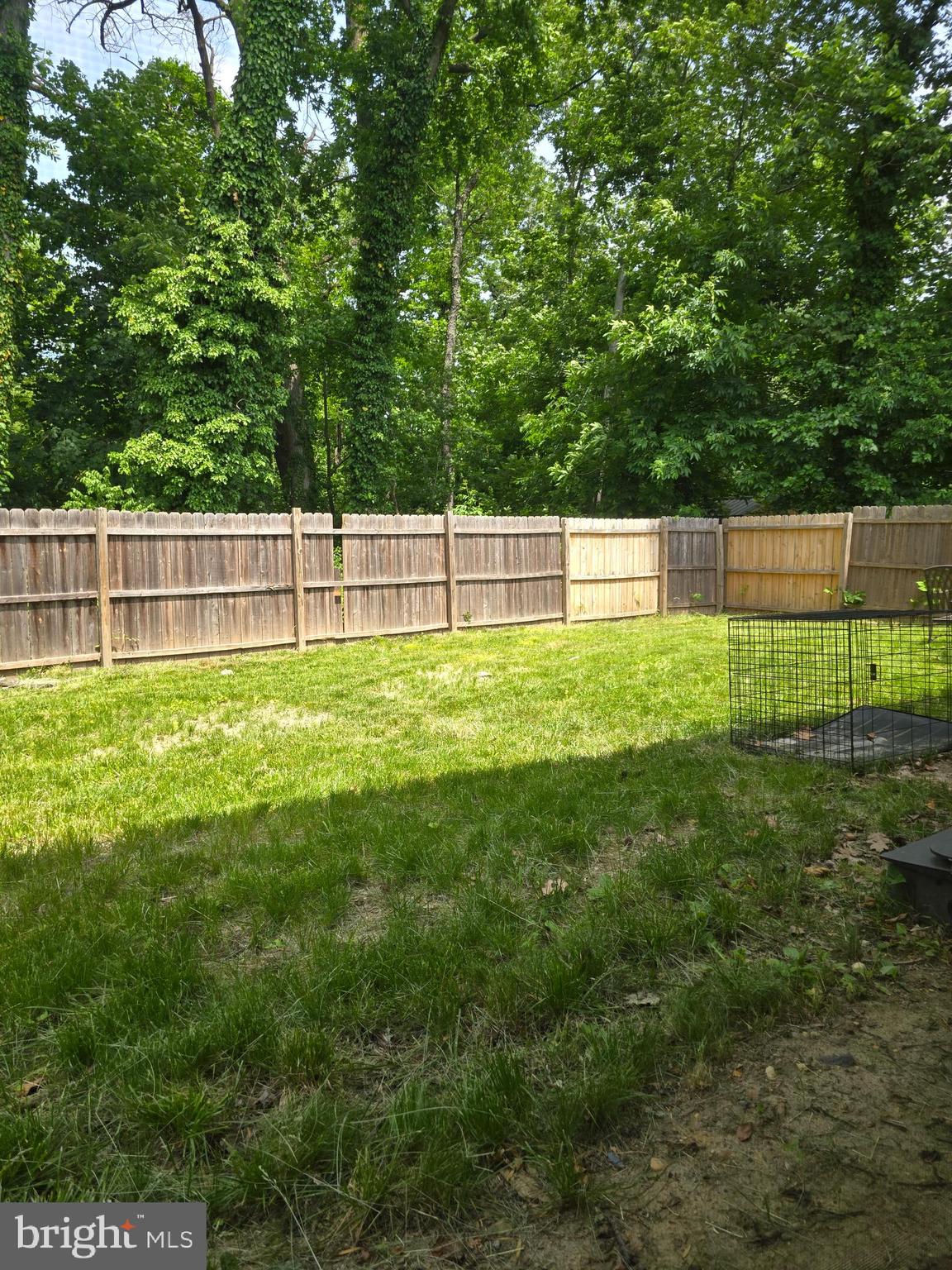 55 Miles Road Claymont, DE 19703 - Photo 5 of 16 Rear yard