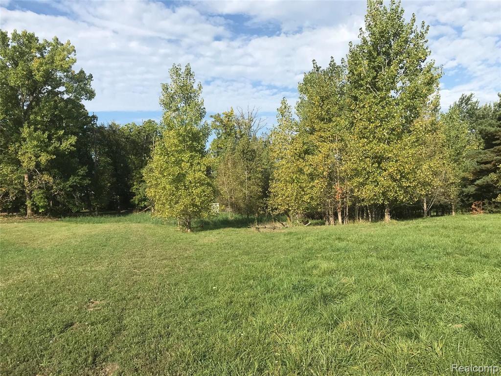 0 Brewster Road Rochester, MI 48309 - Photo 10 of 11