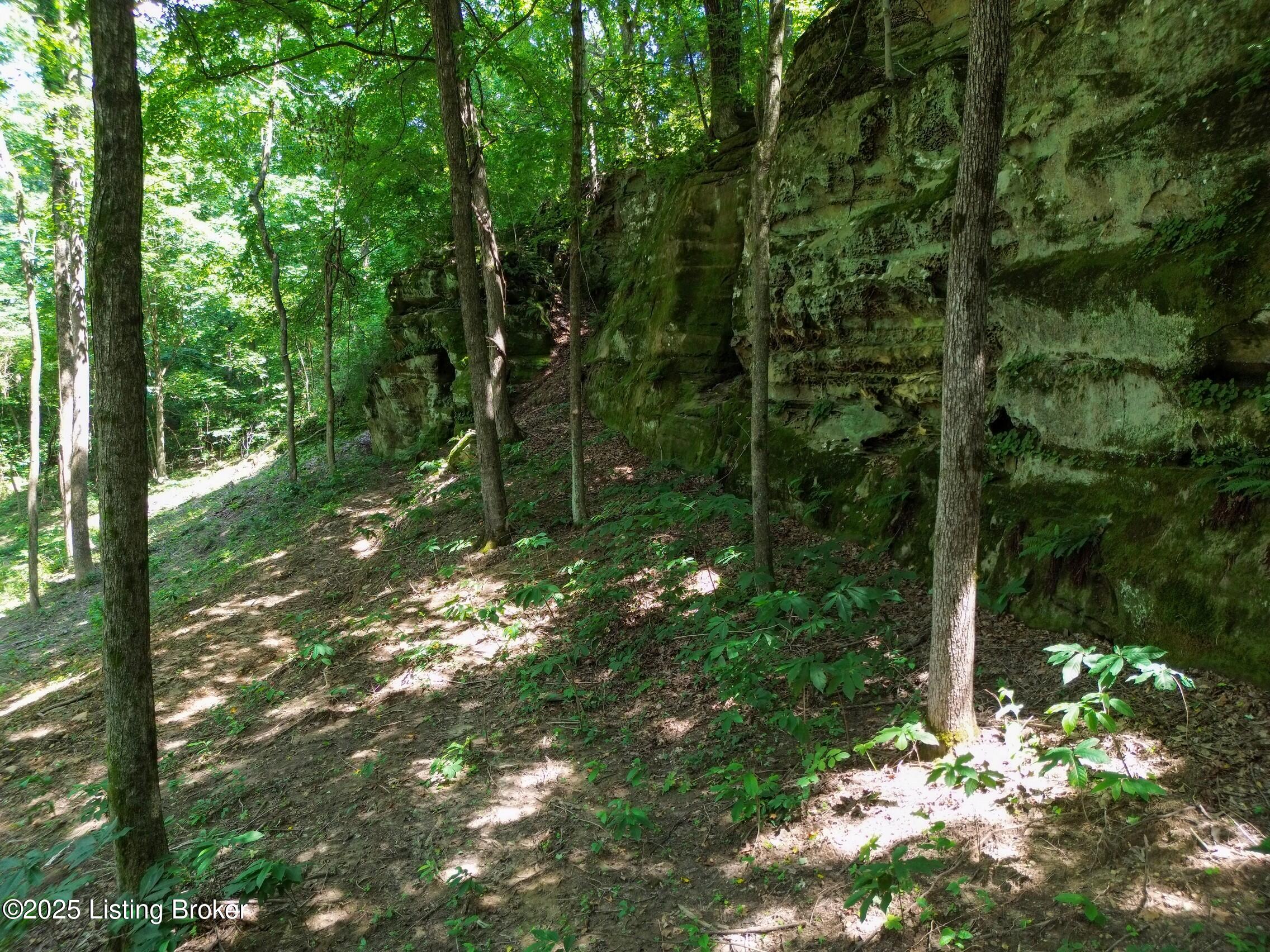 0 Cave Creek Road Falls Of Rough, KY 40119 - Photo 42 of 70 Beachy (11)