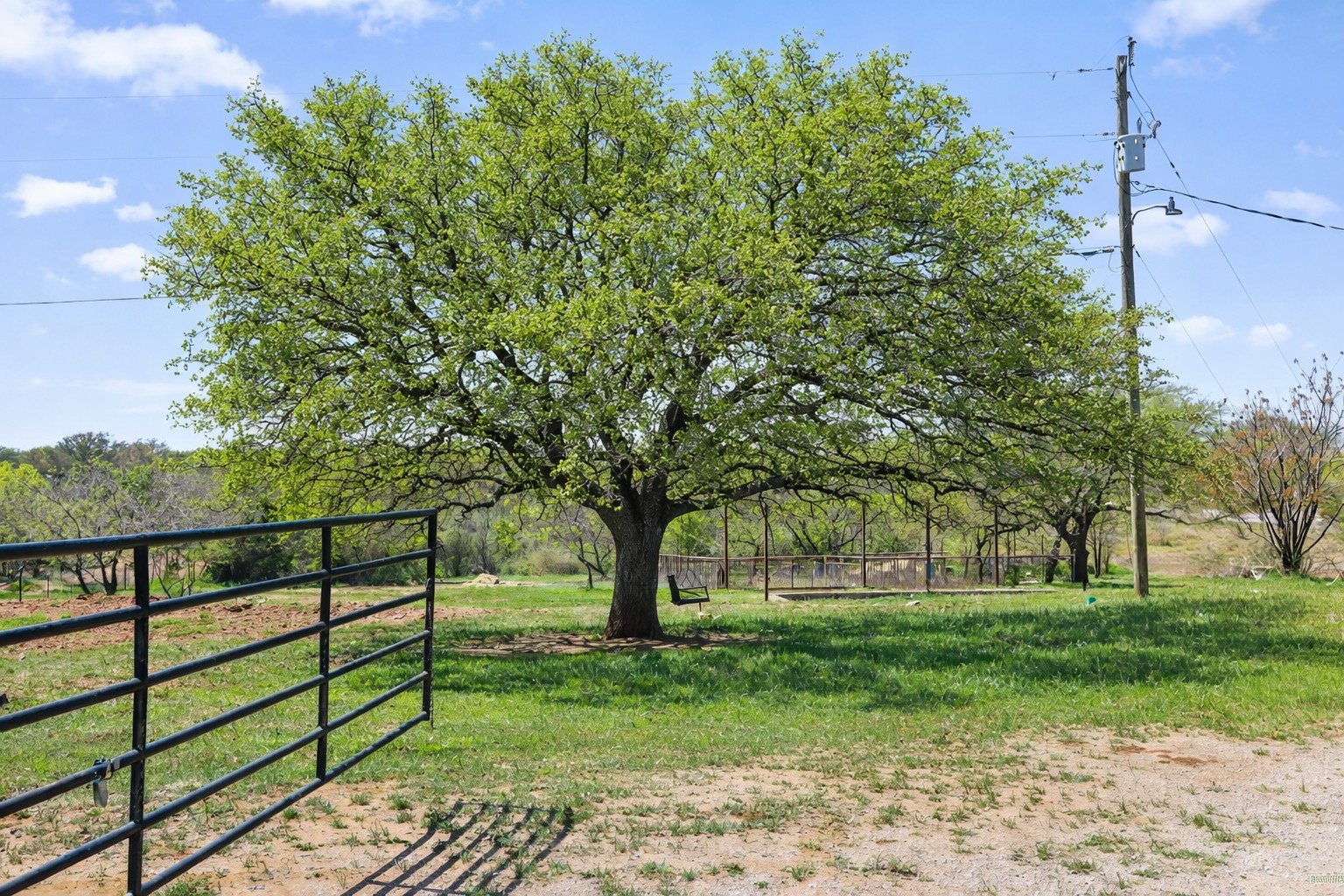 3410 West Ranch Road 152 Llano, TX 78643 - Photo 34 of 36 a view of a yard with large trees