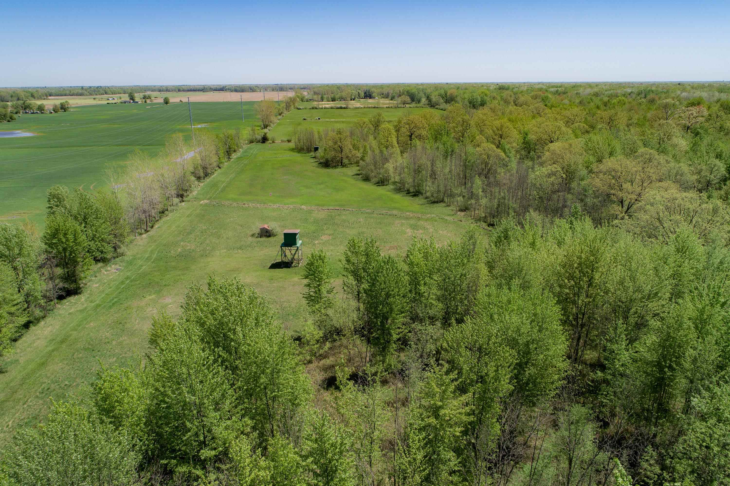 2250 North Coleman Road Coleman, MI 48618 - Photo 49 of 66