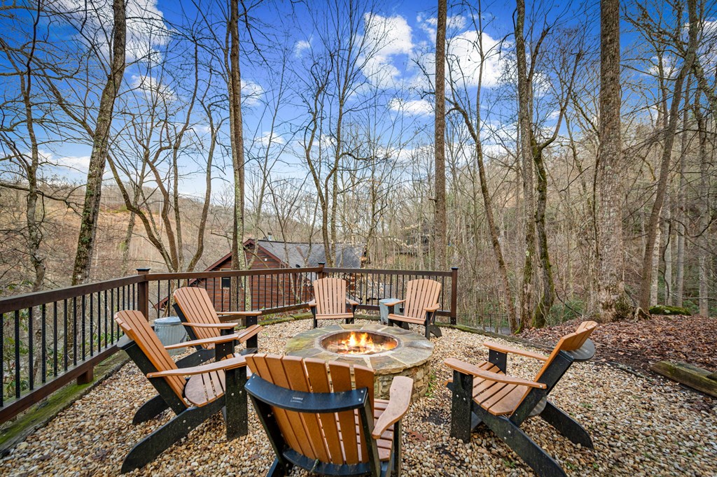 76 Fish Trap Road Blue Ridge, GA 30513 - Photo 48 of 73 Gallery Image 48