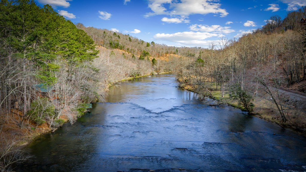 76 Fish Trap Road Blue Ridge, GA 30513 - Photo 50 of 73 Gallery Image 50