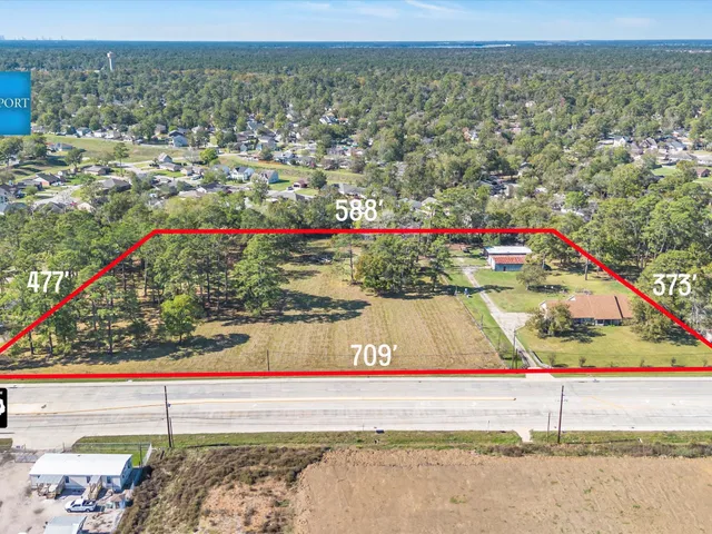 a view of city and flowers