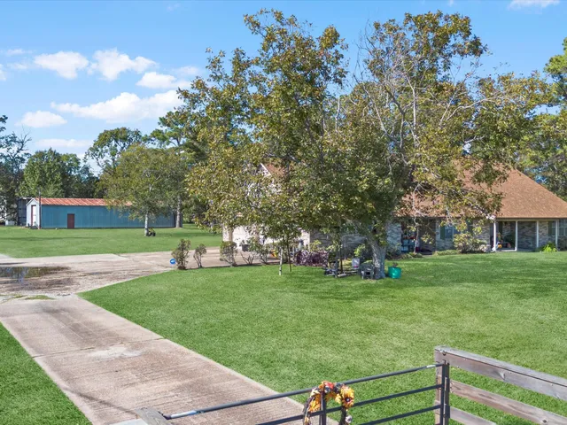 a view of a backyard with a tree and wooden fence