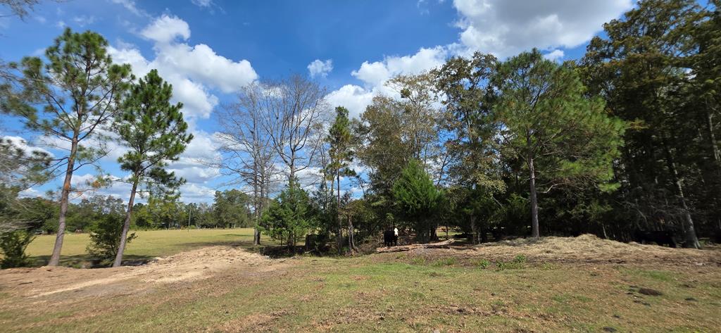 5.8-acres Nobles Road Cottonwood, AL 36320 - Photo 17 of 29