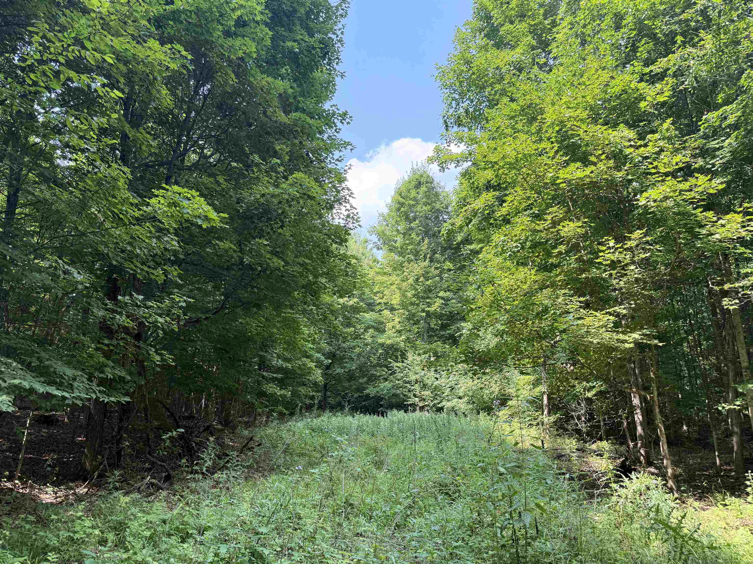 Crouch Road Fife Lake, MI 49633 - Photo 27 of 30 Gallery Image 27