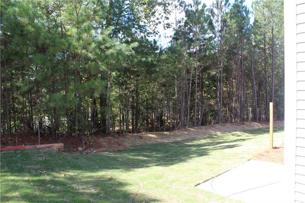 4741 Beacon Ridge Lane Flowery Branch, GA 30542 - Photo 14 of 15 a view of a house with a yard