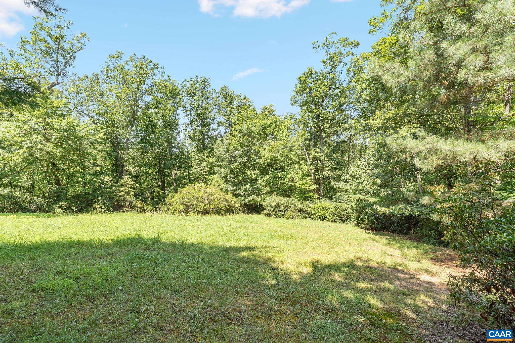 680 Explorers Road Charlottesville, VA 22911 - Photo 45 of 46 a view of yard with green space and trees all around