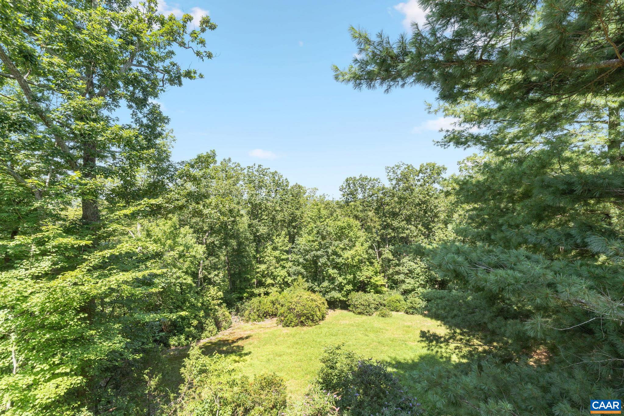 680 Explorers Road Charlottesville, VA 22911 - Photo 46 of 46 a view of a yard with a tree