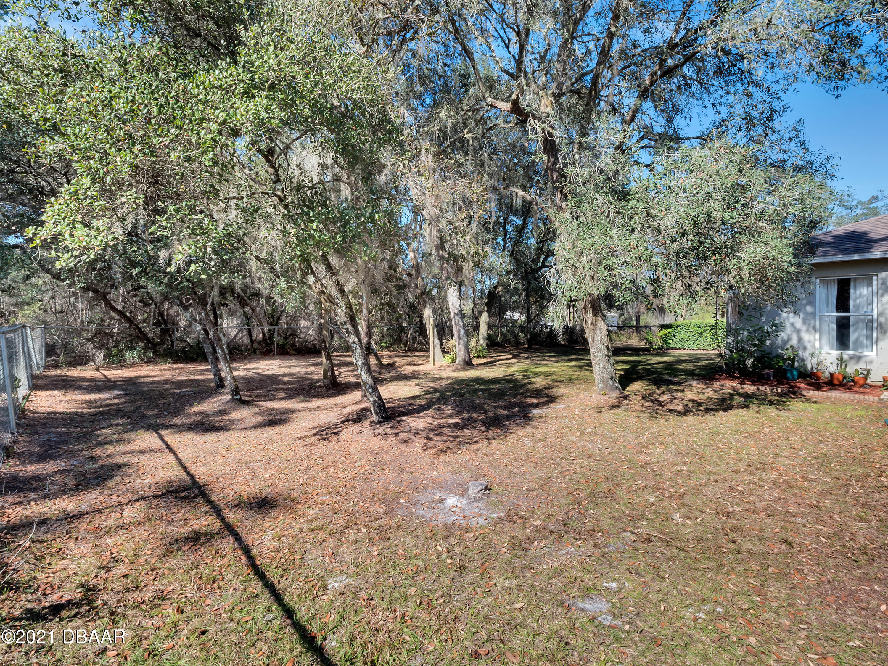 2800 Larkspur Road DeLand, FL 32724 - Photo 31 of 33 a view of a bench in the middle of a yard