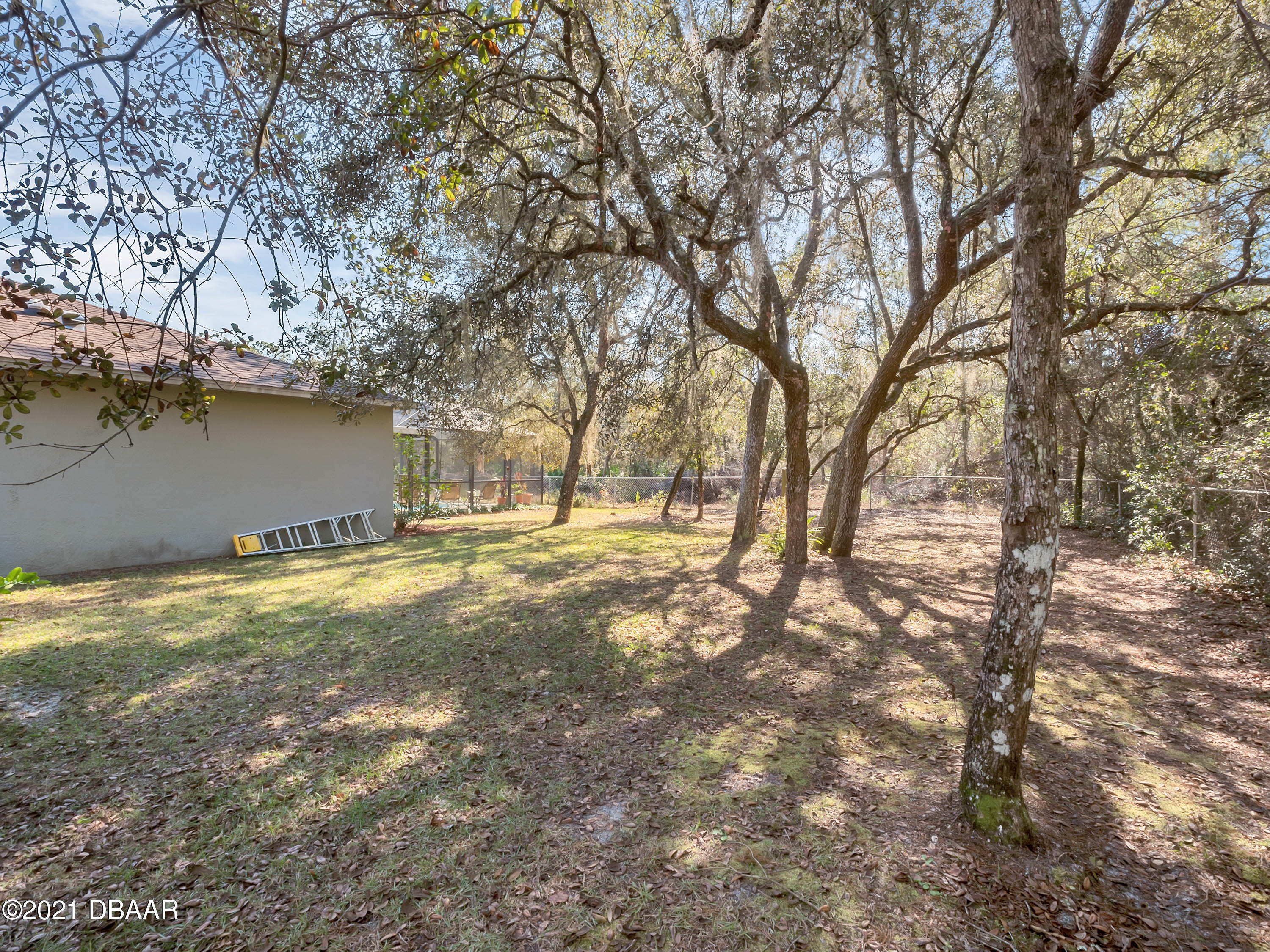 2800 Larkspur Road DeLand, FL 32724 - Photo 33 of 33 a view of yard and covered with green space
