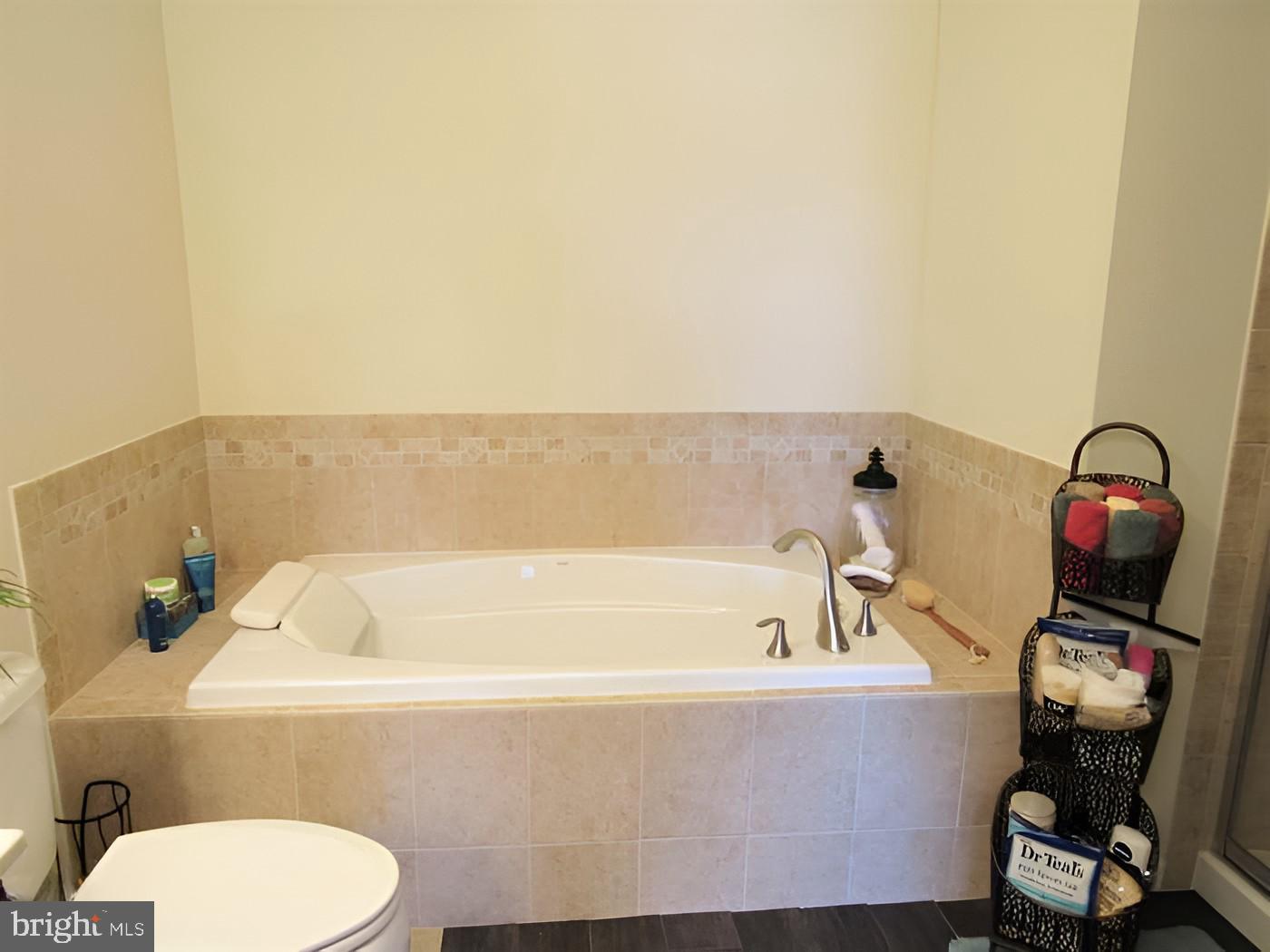 42581 Sunset Ridge Square Ashburn, VA 20148 - Photo 13 of 24 Serene spa-like bathroom retreat.