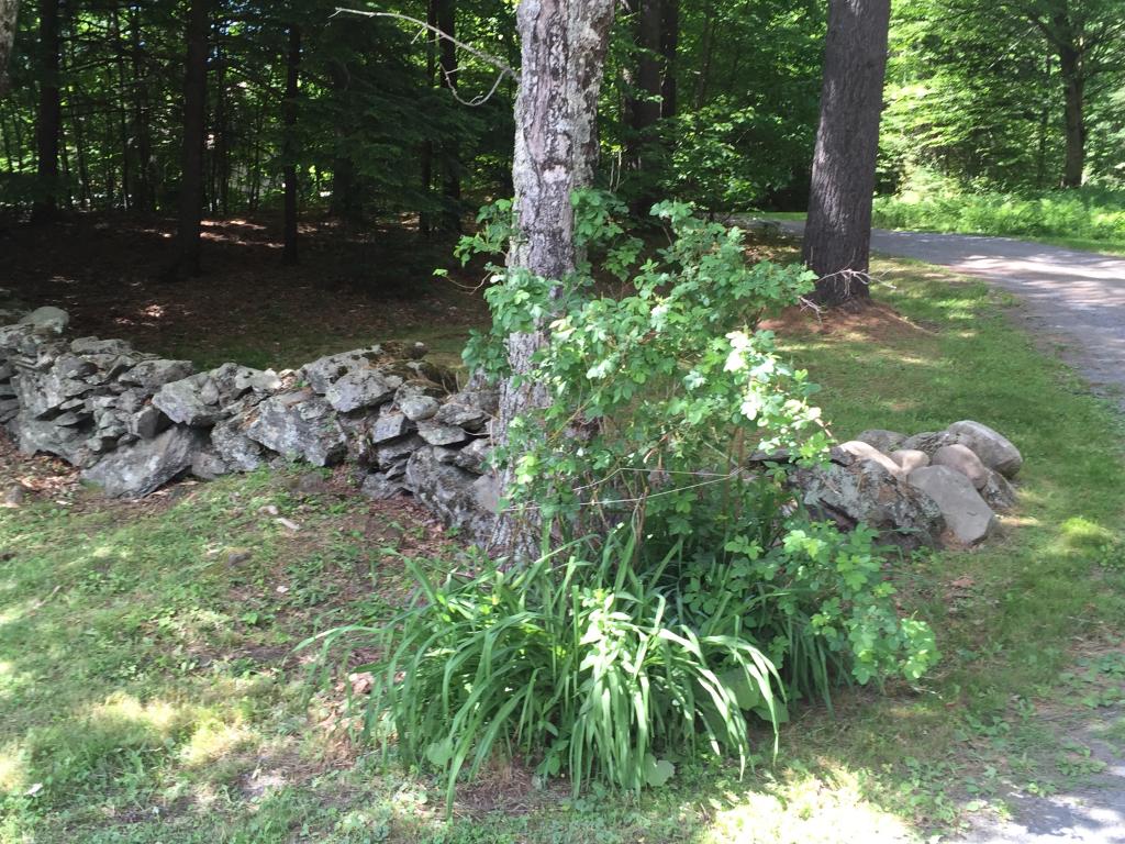 3572 Blood Brook Road West Fairlee, VT 05045 - Photo 11 of 28