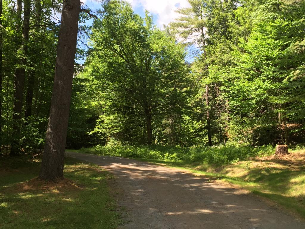 3572 Blood Brook Road West Fairlee, VT 05045 - Photo 13 of 28