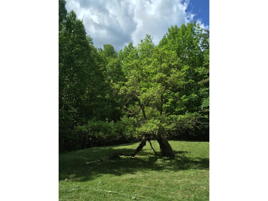 3572 Blood Brook Road West Fairlee, VT 05045 - Photo 10 of 28