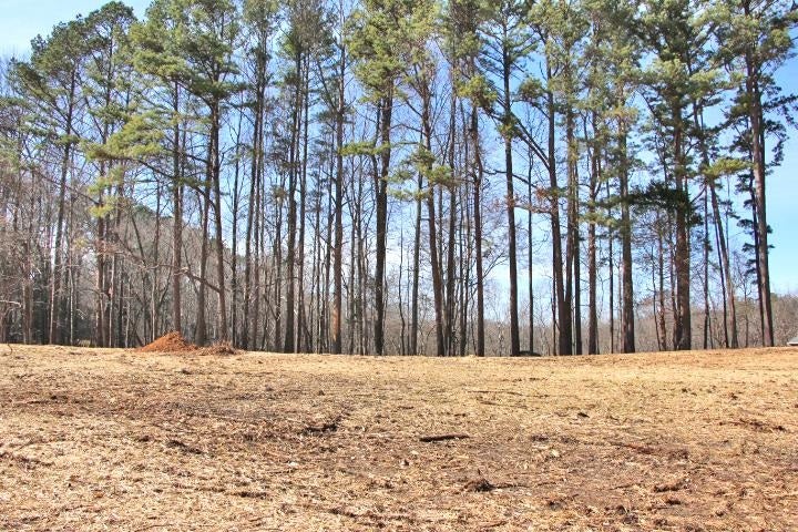 Lot 80-81 Cherokee Road Lucas, KY 42156 - Photo 4 of 7 Gallery Image 4