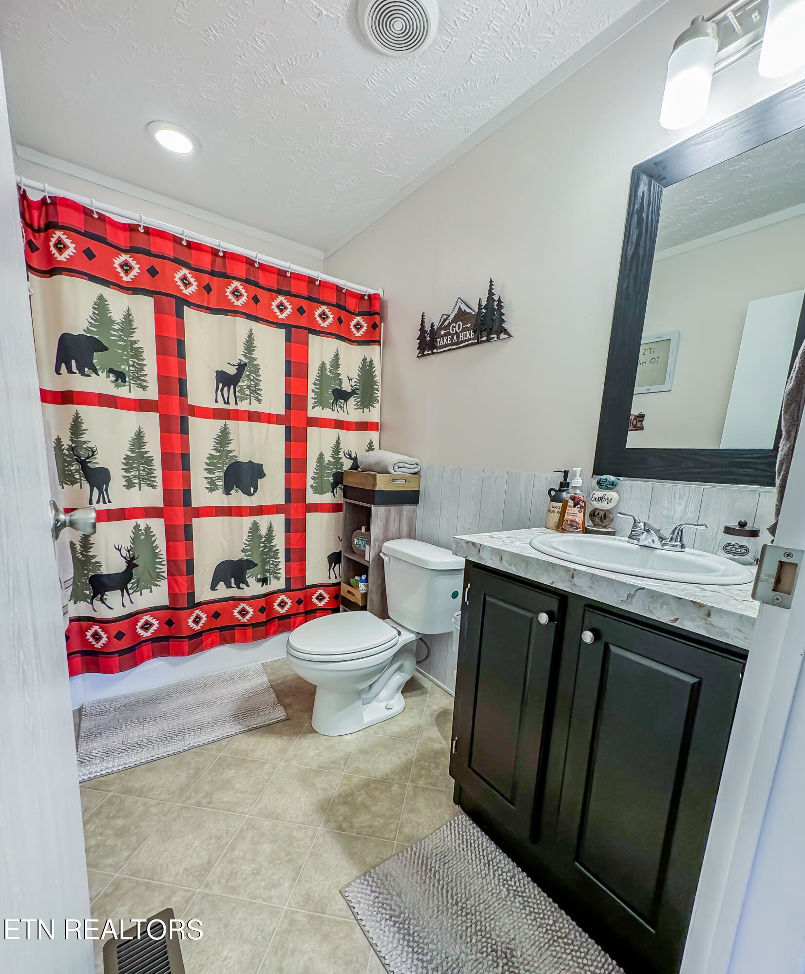 377 Wells Spring Road Dandridge, TN 37725 - Photo 19 of 21 Guest Bath