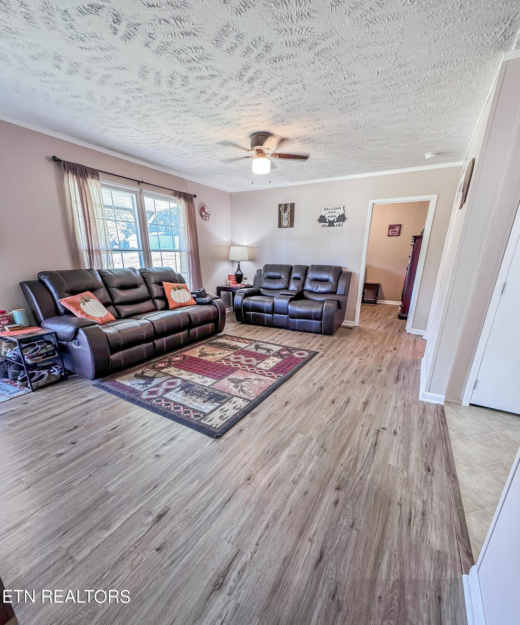 377 Wells Spring Road Dandridge, TN 37725 - Photo 3 of 21 Living Room