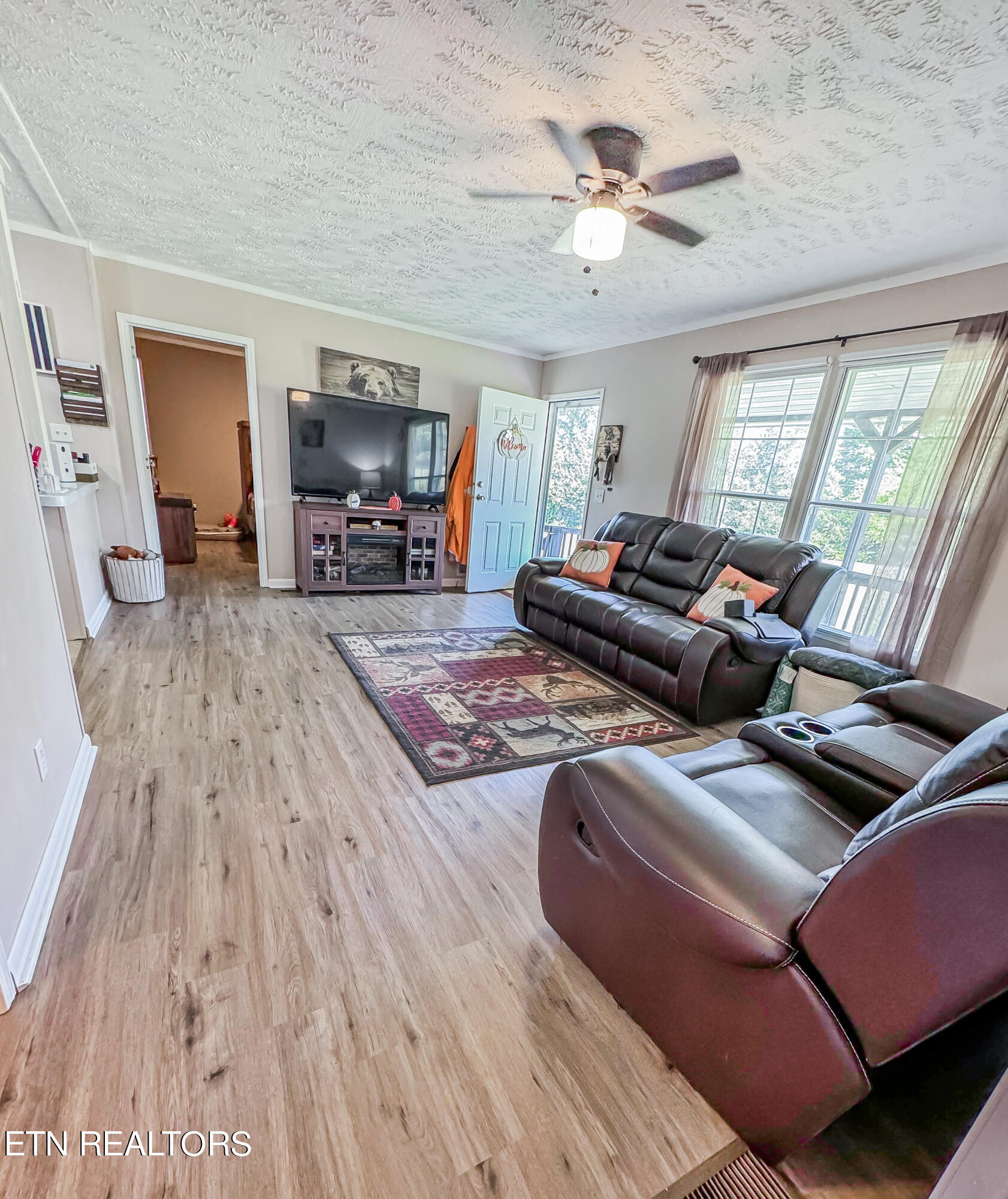 377 Wells Spring Road Dandridge, TN 37725 - Photo 4 of 21 Living Room