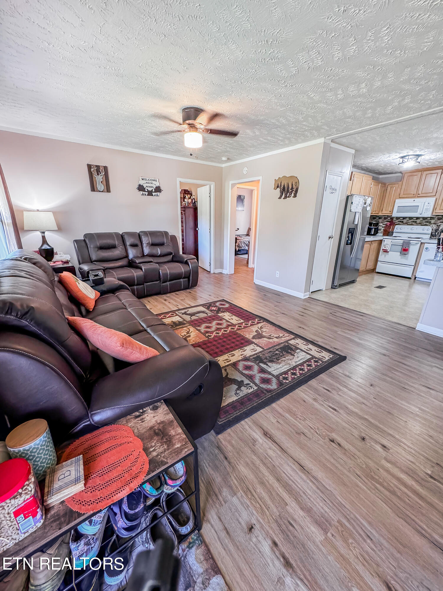 377 Wells Spring Road Dandridge, TN 37725 - Photo 5 of 21 Living Room