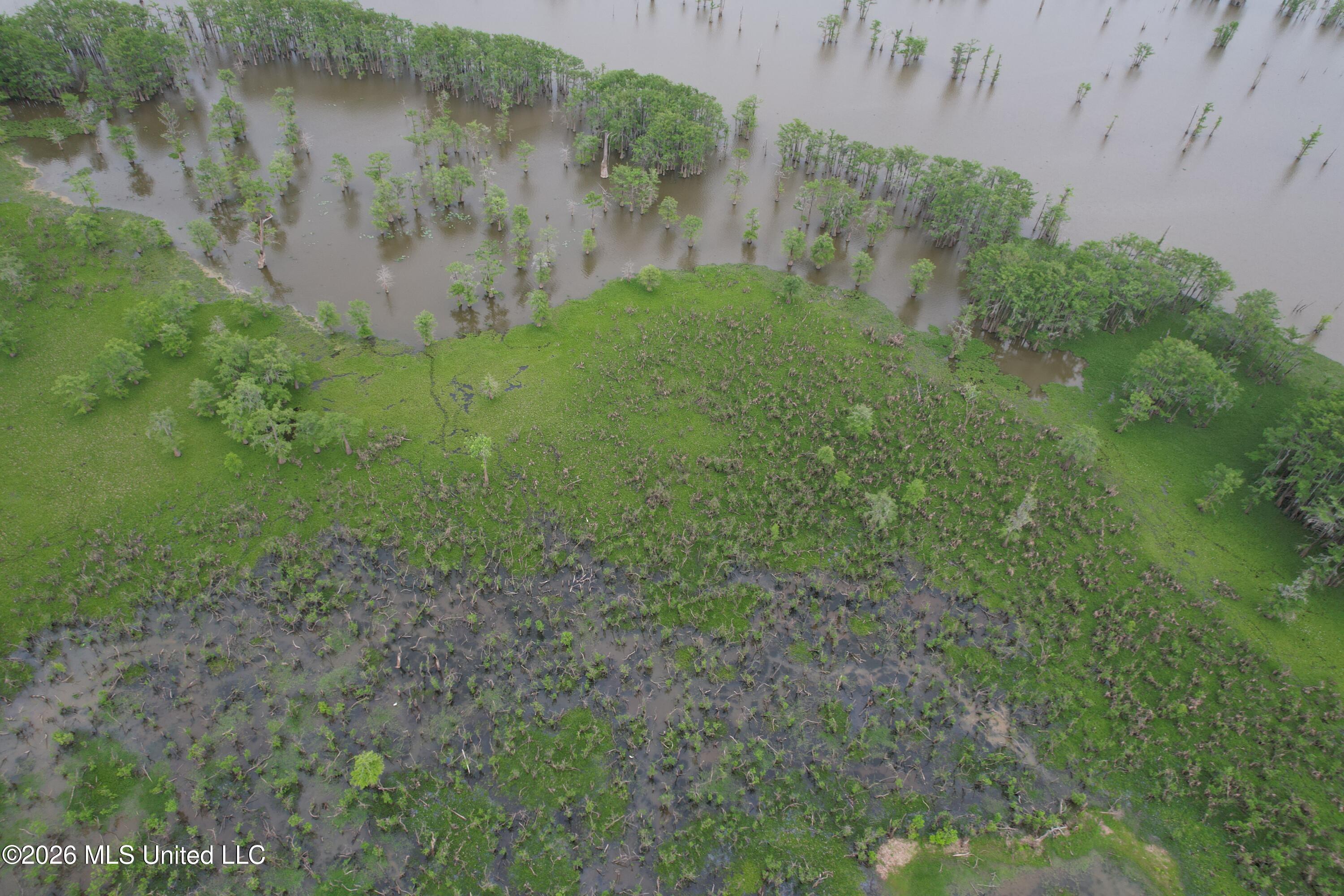 Lake Mary Road Woodville, MS 39669 - Photo 22 of 39 DJI_0985