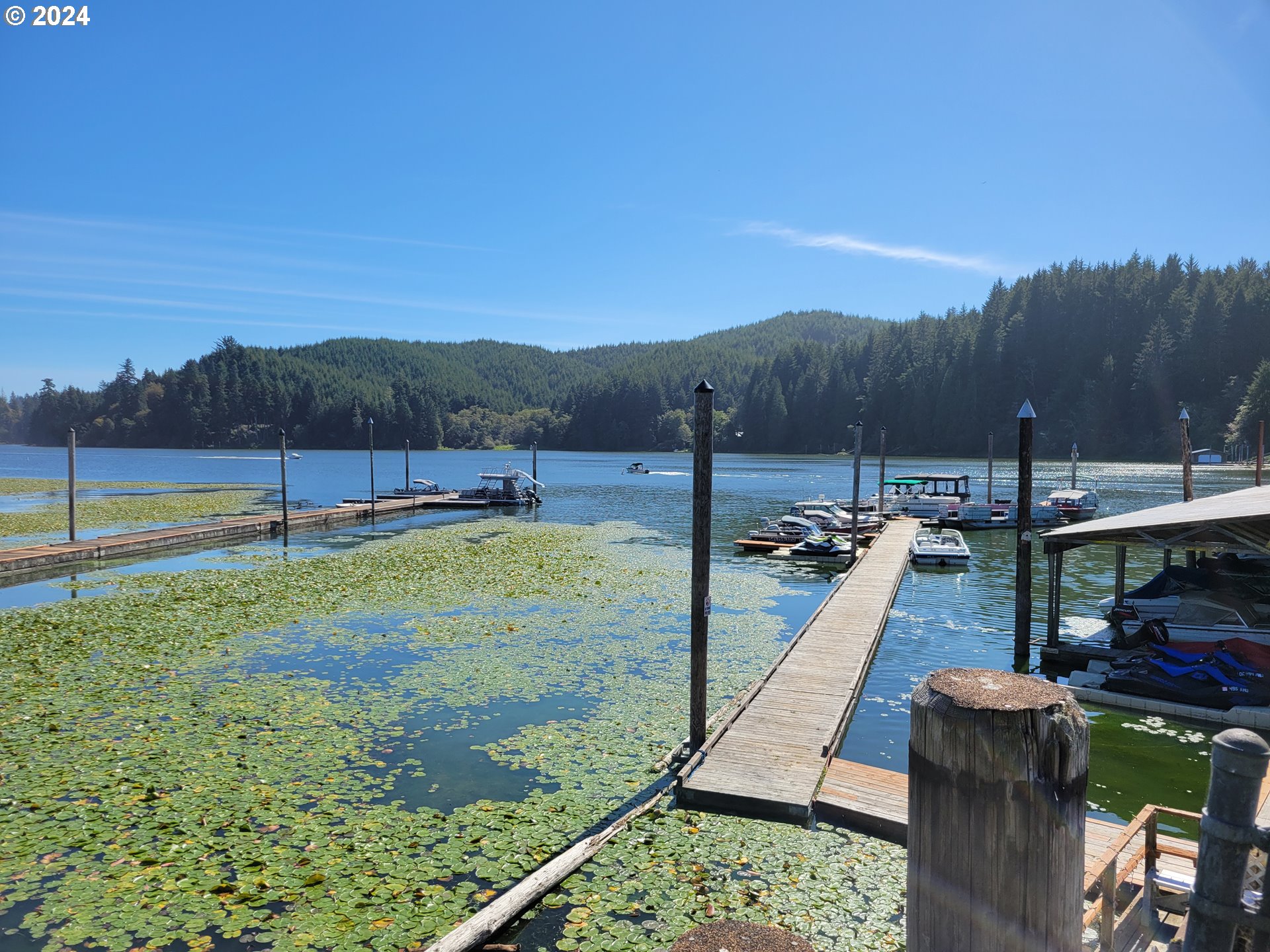 805 Jacobson Way Lakeside, OR 97449 - Photo 5 of 6 a view of a garden with an outdoor seating