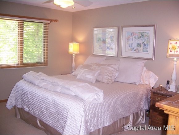 2713 Timber Pointe Drive Springfield, IL 62702 - Photo 7 of 23