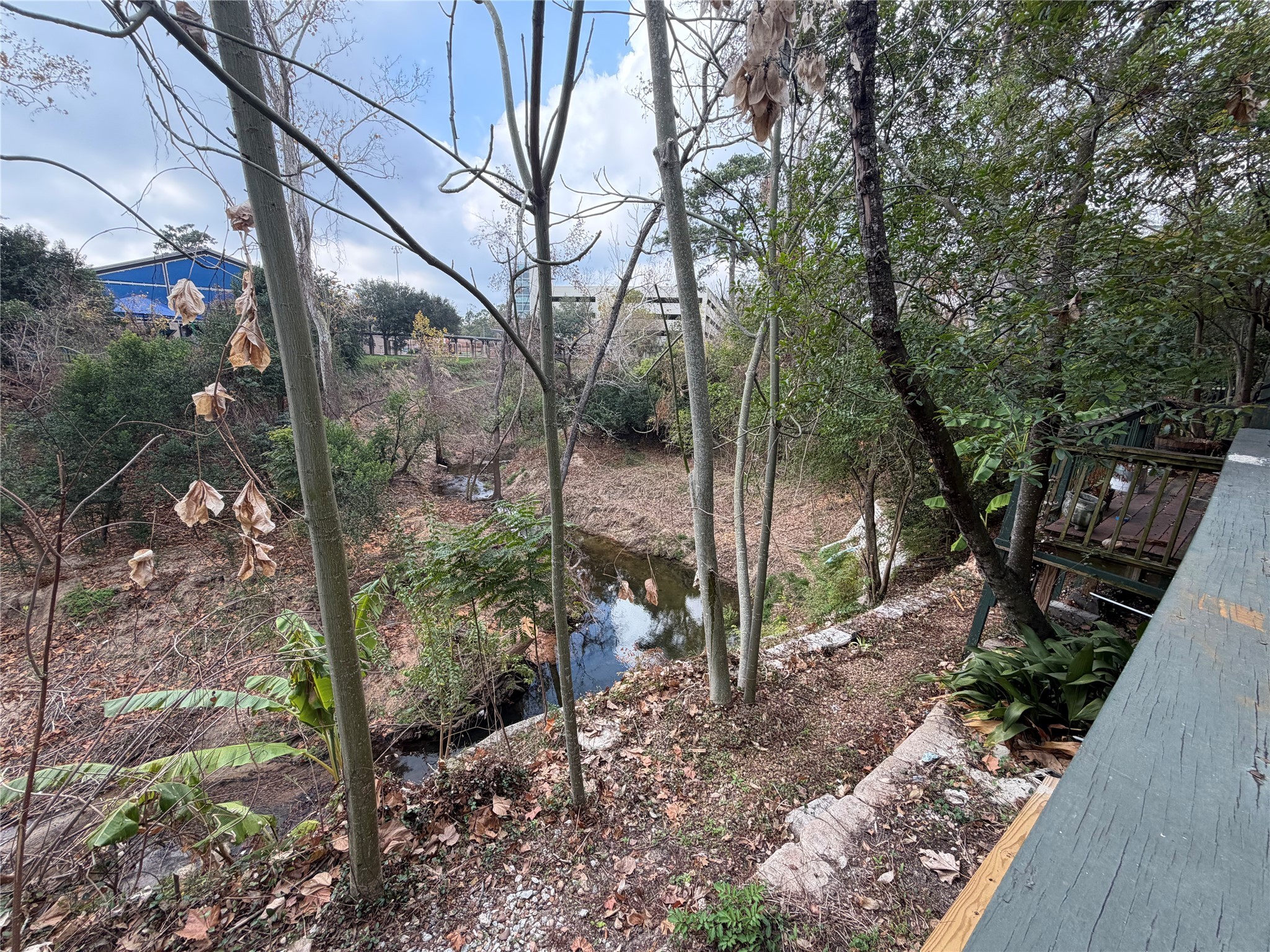 8225 Kingsbrook Road, Unit 116 Houston, TX 77024 - Photo 20 of 21 a backyard of a house with lots of green space