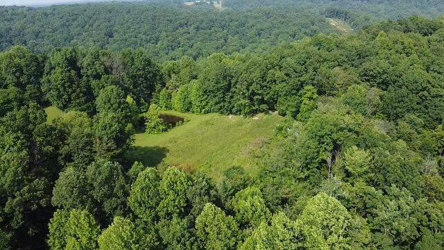 1216 Spring Road Wallingford, KY 41093 - Photo 9 of 20 2025-06-03-16-58-54-690