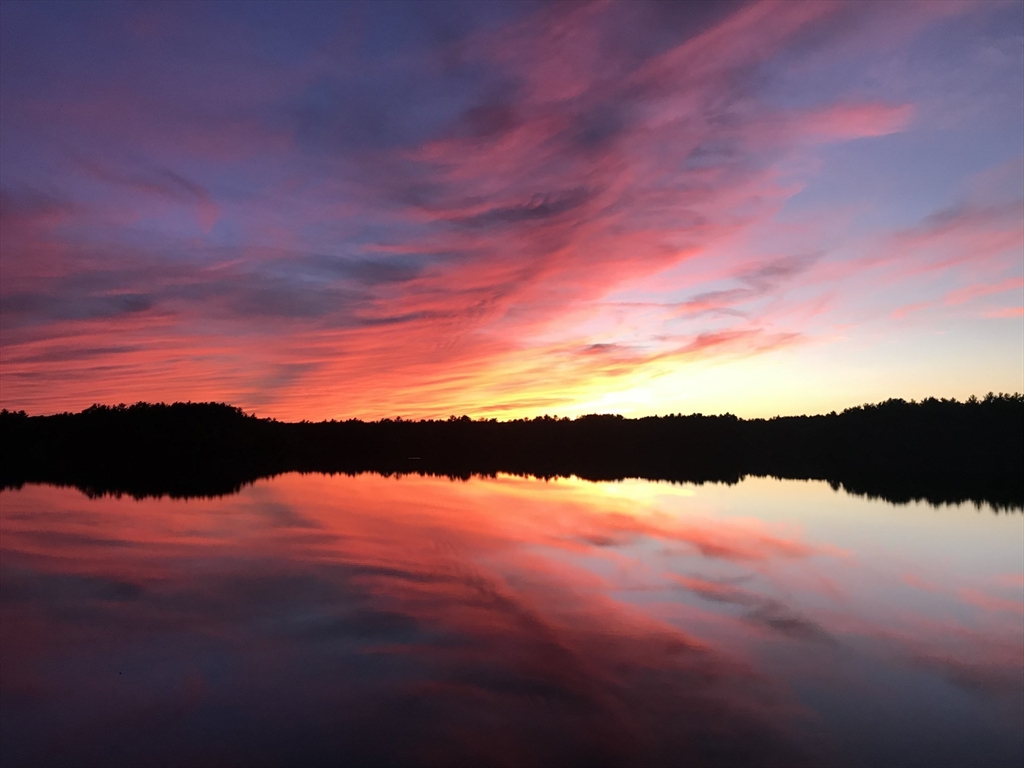 29 Aaron River Road Cohasset, MA 02025 - Photo 41 of 41 Gallery Image 41