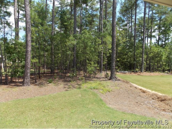 344 Kerr Lake Road Aberdeen, NC 28315 - Photo 21 of 25 a view of a yard with palm trees