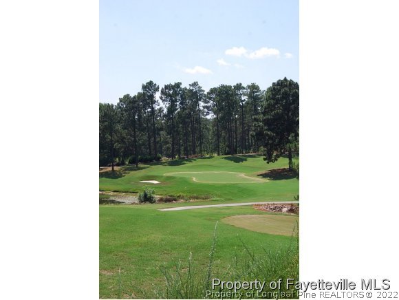 344 Kerr Lake Road Aberdeen, NC 28315 - Photo 22 of 25 a view of a green field